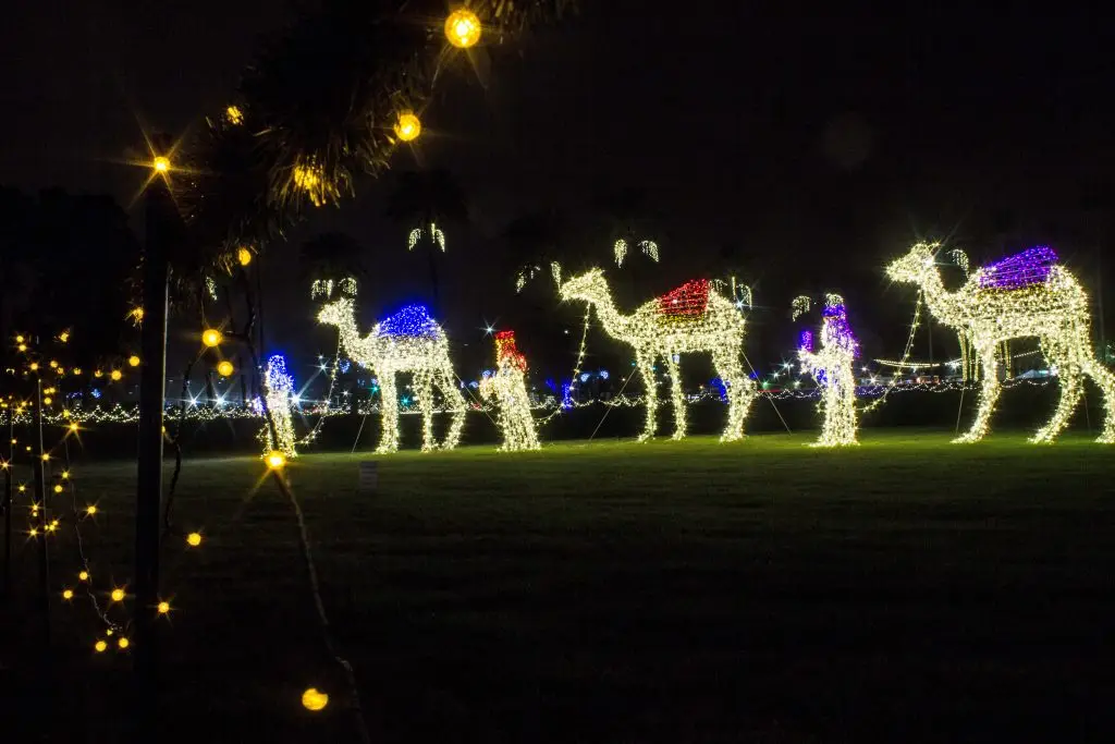 夜晚梅萨神庙用圣诞彩灯制作的三位智者和三头骆驼的耶稣诞生场景。
