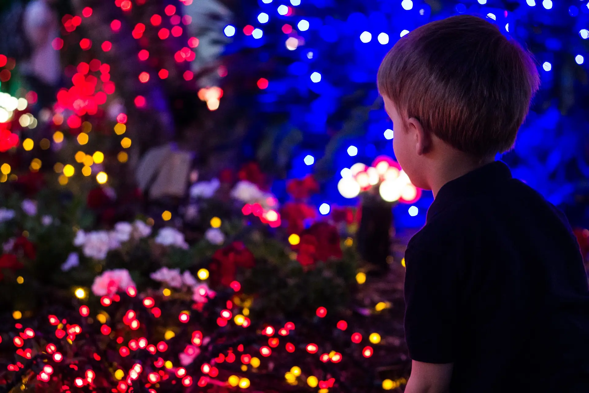 圣诞彩灯前的孩子在梅萨神庙的灌木丛中休息