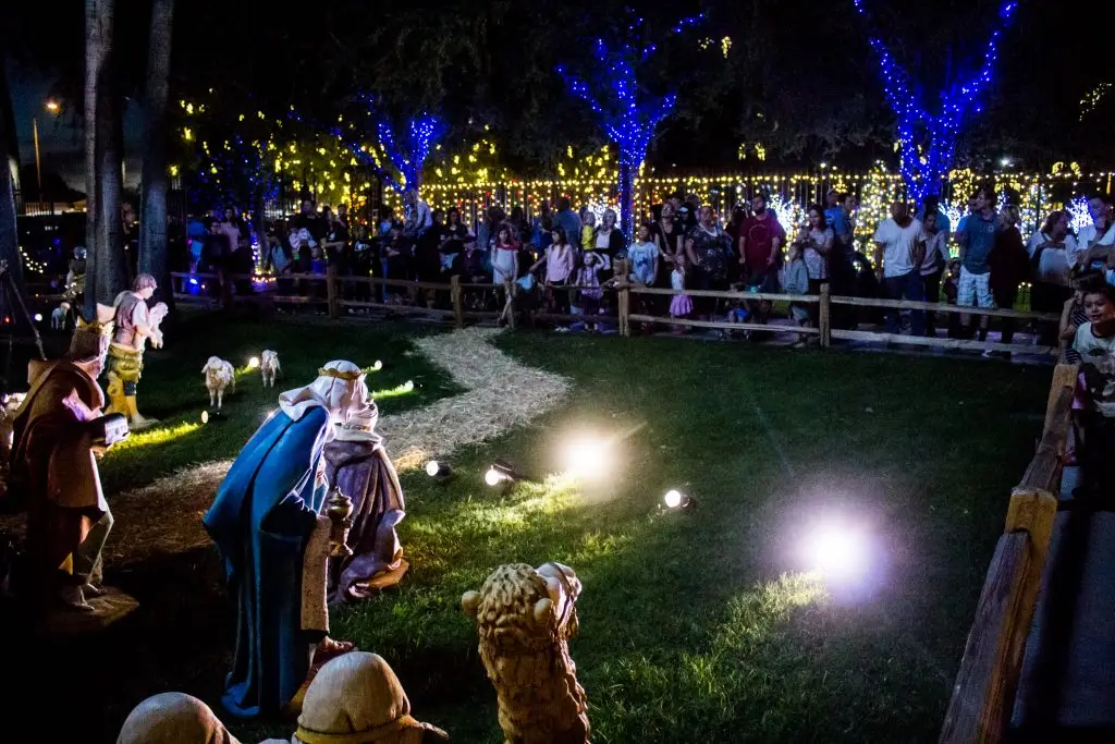 夜晚,一群人在梅萨圣殿观看耶稣诞生场景。圣诞彩灯在背景中的树木和灌木丛周围盘旋。