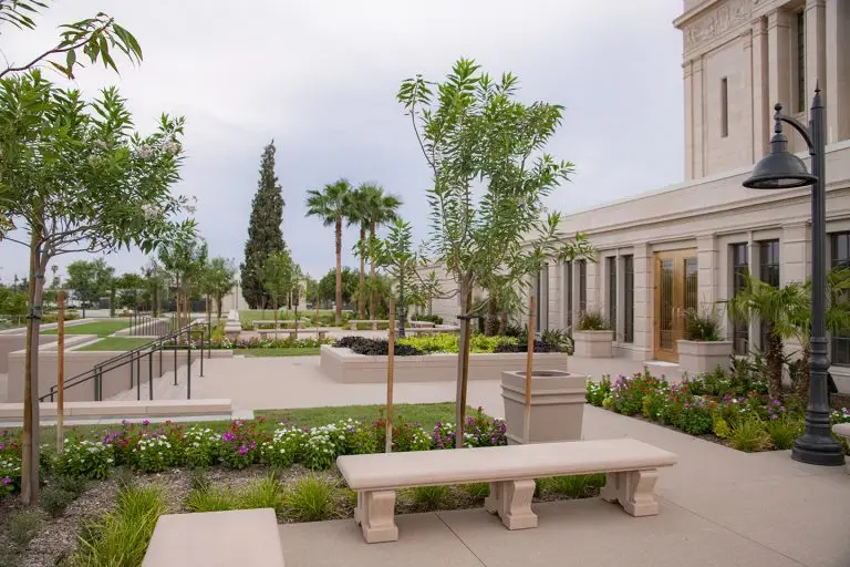 Trees and a stone bench outside the Mesa Temple beneath an overcast sky.