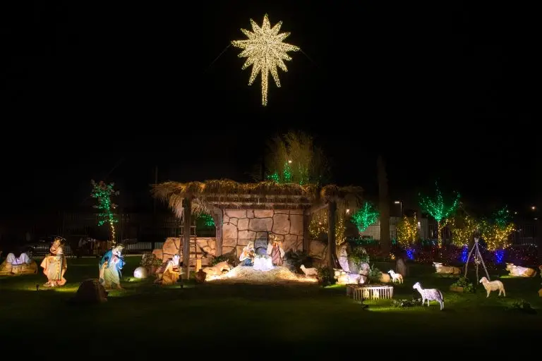 The New Star depicted in lights at the Mesa Temple Christmas lights annual showcase.