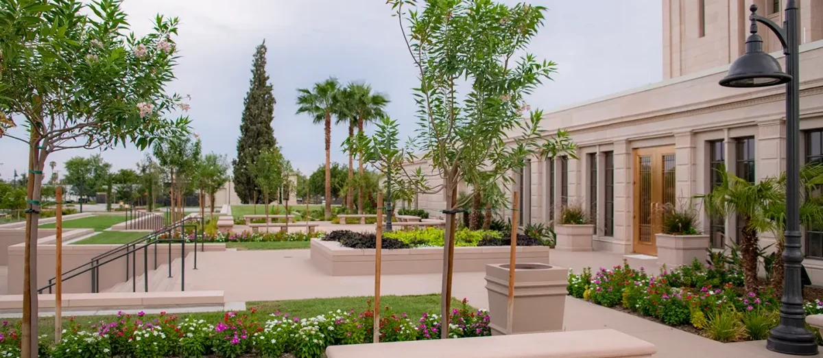 Trees and a stone bench outside the Mesa Temple beneath an overcast sky.