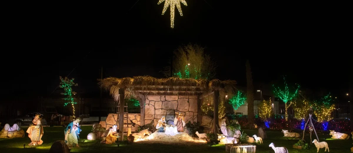 梅萨寺圣诞灯饰年度展示会上，灯光描绘的新星。